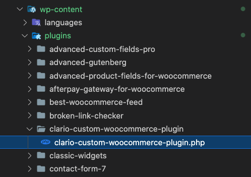 Files for custom WordPress Plugin in the file system